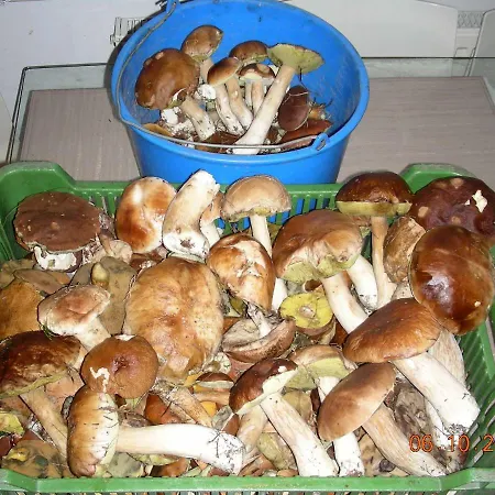 Choszczogrod Βίλα *